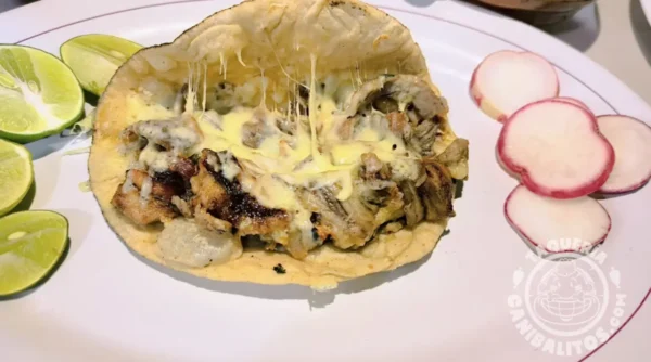 Taco árabe con queso